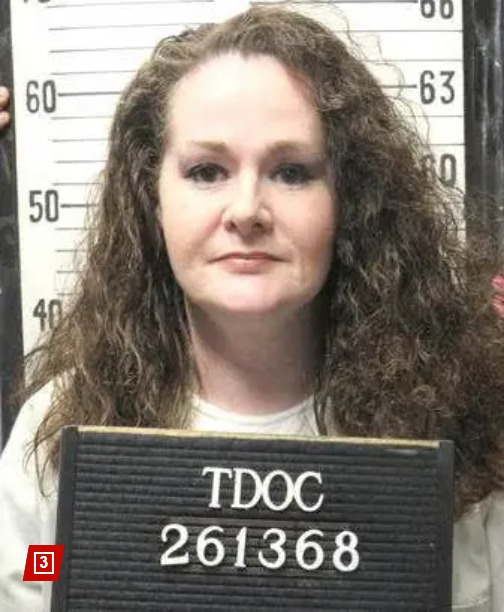 Crista pike correctional image