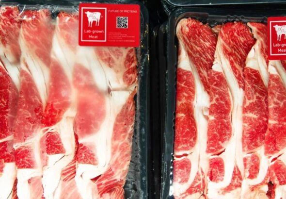carne sintética