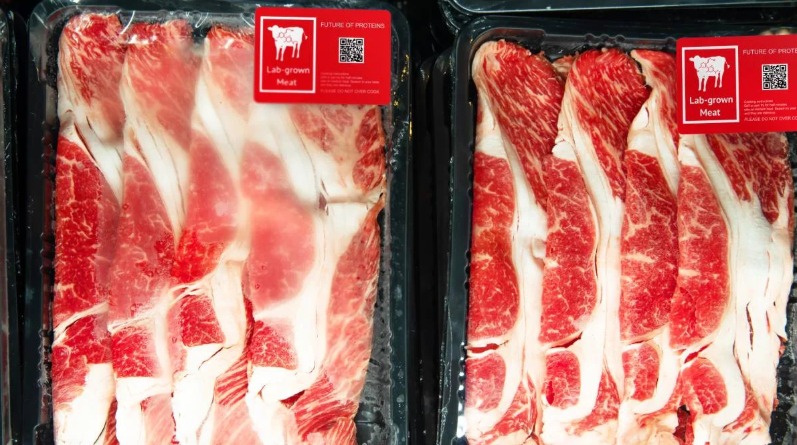 carne sintética