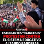 francia disturbios terrorismo callejero palestina
