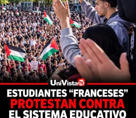 francia disturbios terrorismo callejero palestina